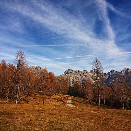 Voss Haus- Ferienwohnung Freiraum Sankt Lorenzen im Lesachtal Buitenkant foto